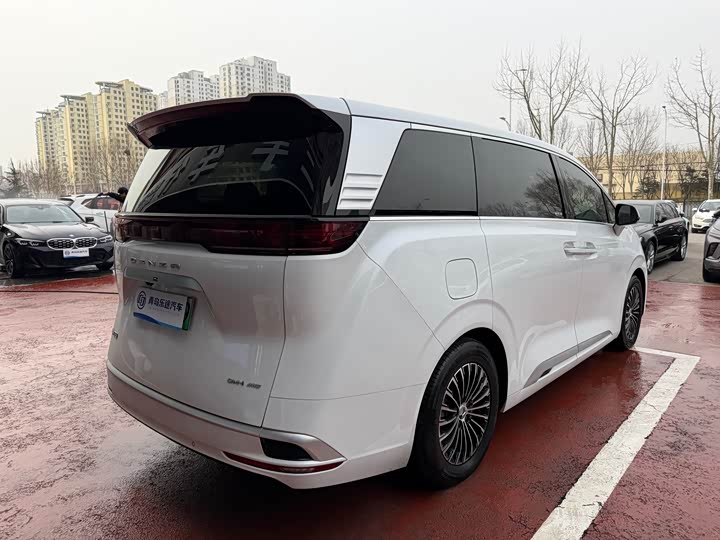 Фото 6 - Denza D9