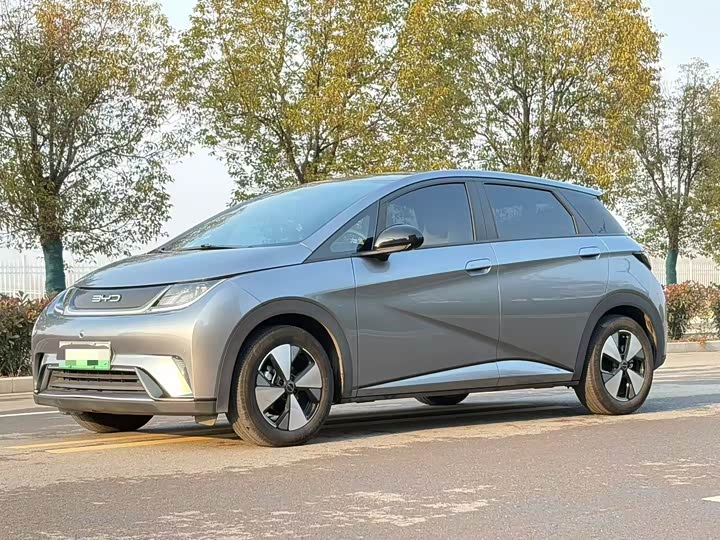 Фото 1 - BYD Dolphin