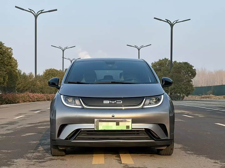 Фото 2 - BYD Dolphin