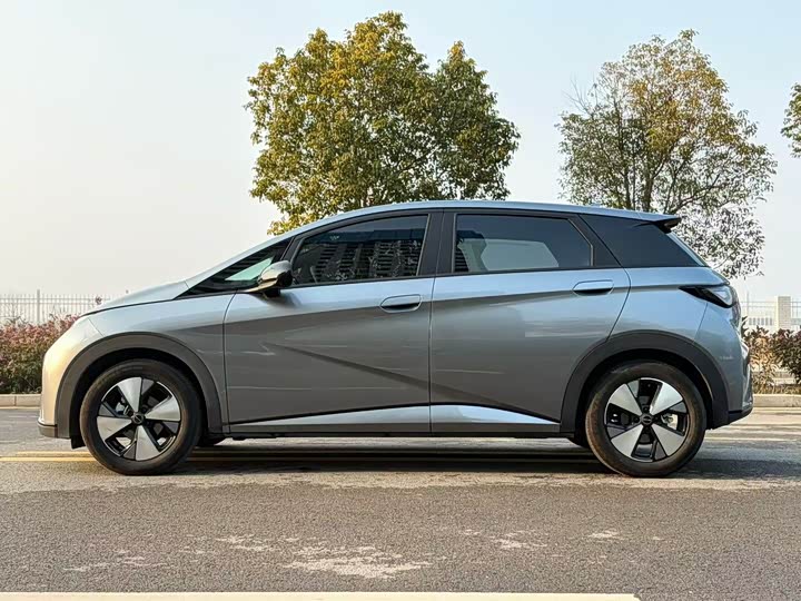 Фото 6 - BYD Dolphin