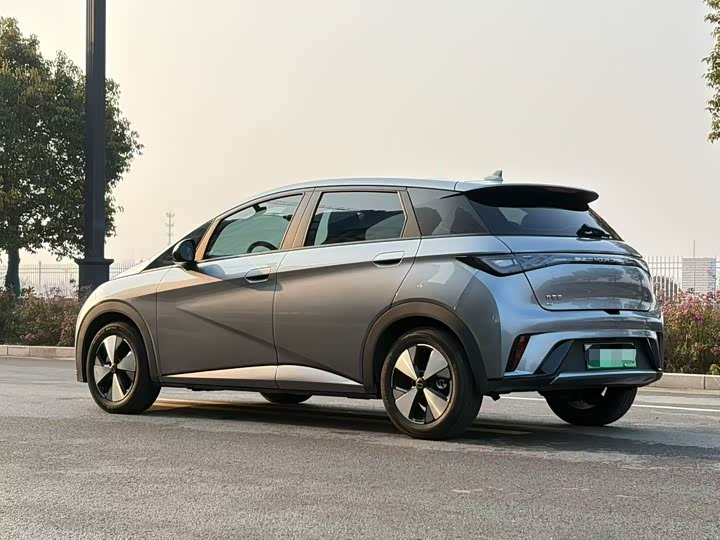 Фото 7 - BYD Dolphin