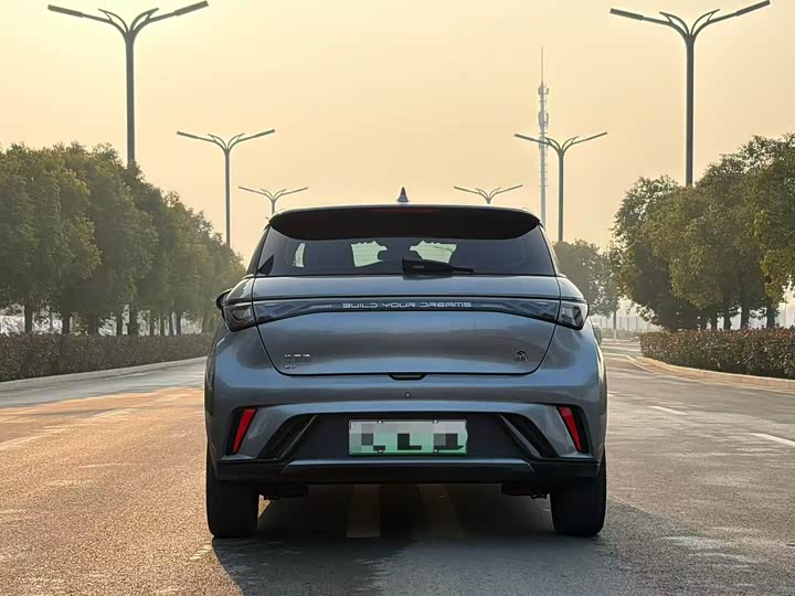 Фото 8 - BYD Dolphin