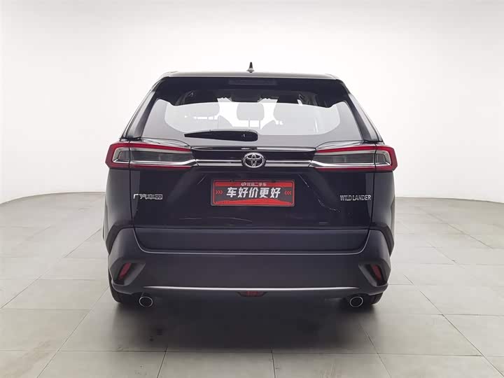 Фото 4 - Toyota Wildlander