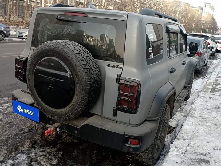 Фото 3 - Tank 300