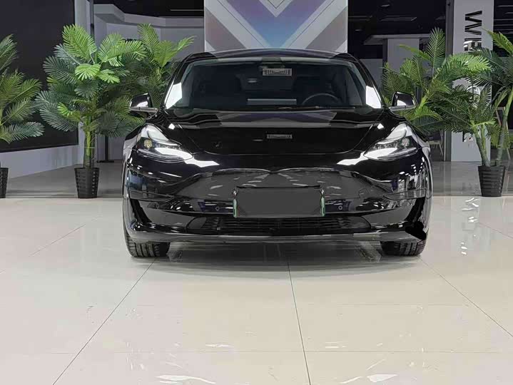 Фото 3 - Tesla Model 3