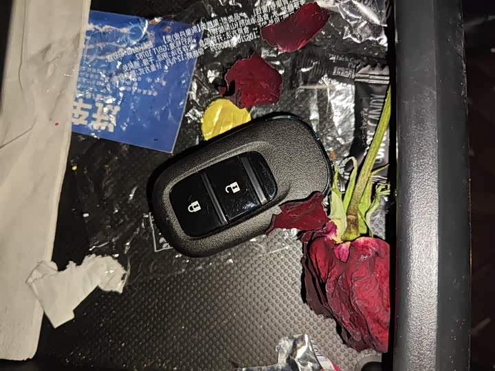 Фото 9 - Honda Odyssey