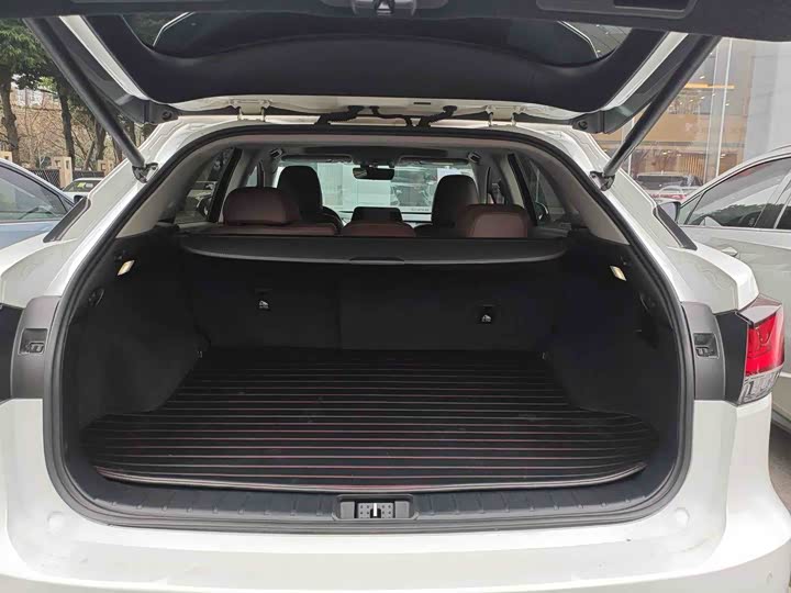 Фото 7 - Lexus RX