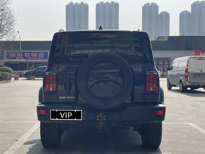 Фото 7 - Tank 300