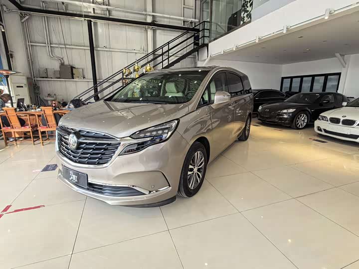 Фото 1 - Buick GL8 ES