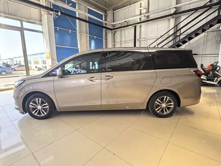 Фото 9 - Buick GL8 ES