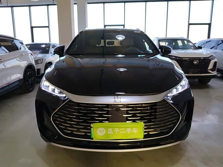 Фото 3 - BYD Tang Hybrid/EV