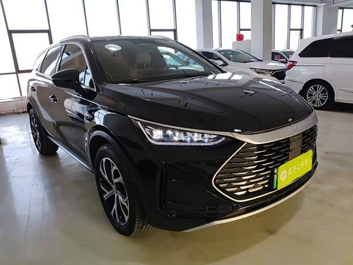 Фото 4 - BYD Tang Hybrid/EV