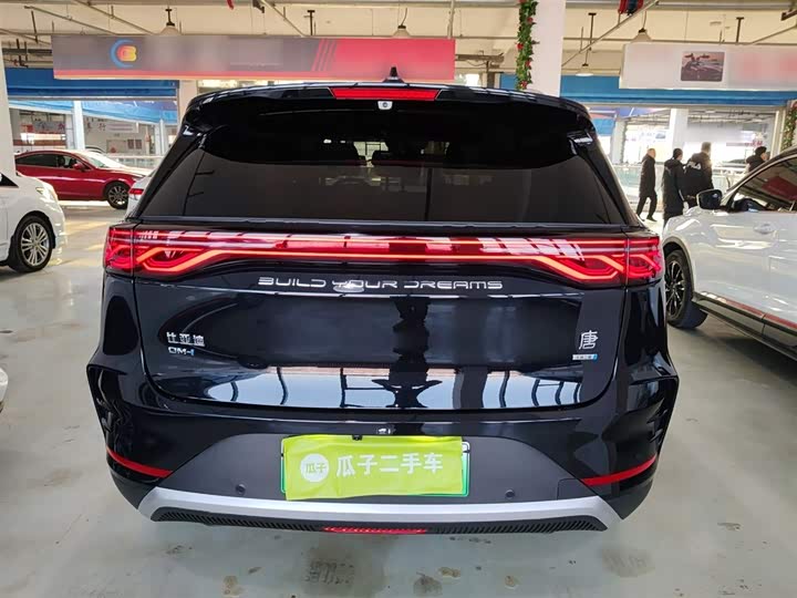 Фото 6 - BYD Tang Hybrid/EV