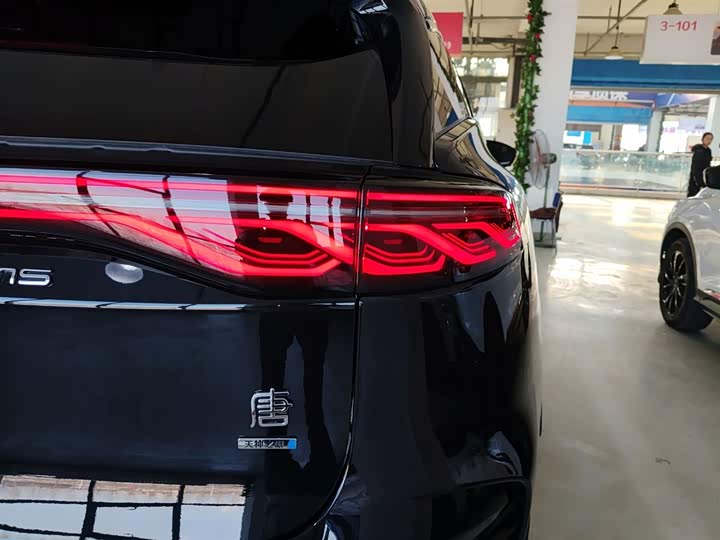 Фото 8 - BYD Tang Hybrid/EV