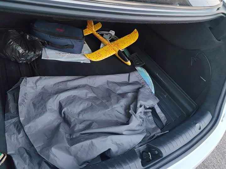 Фото 4 - BYD Han