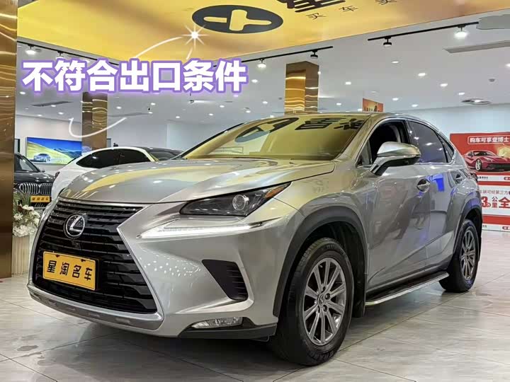 Фото 1 - Lexus NX