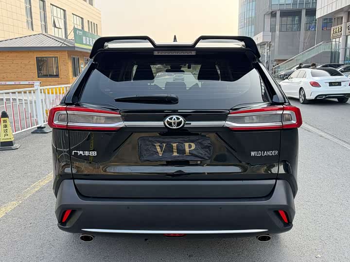 Фото 9 - Toyota Wildlander