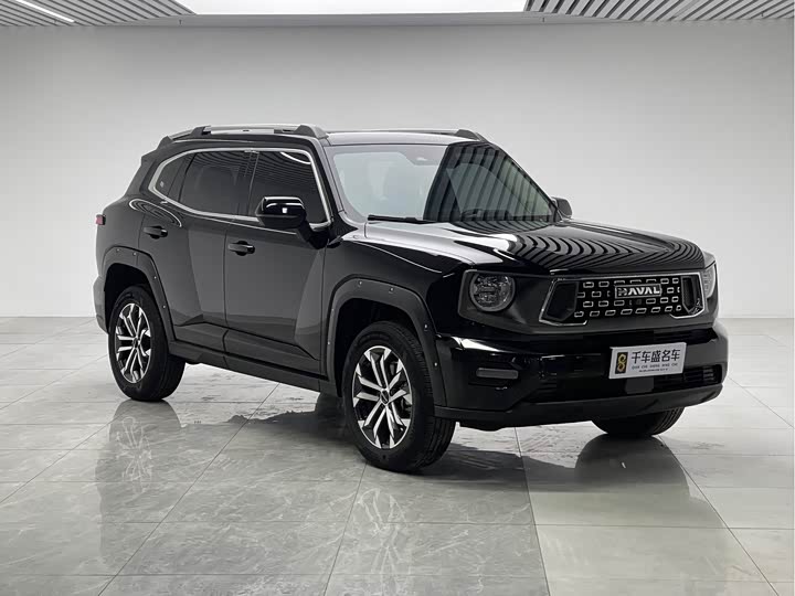 Фото 3 - Haval H-Dog