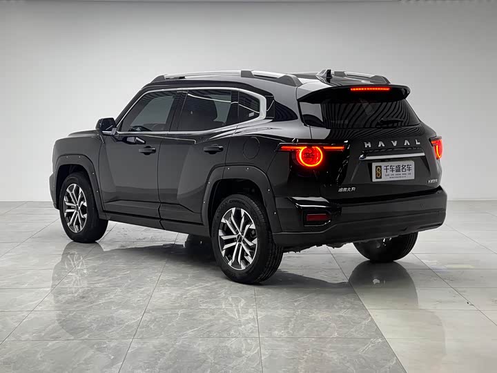 Фото 4 - Haval H-Dog