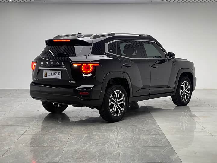 Фото 6 - Haval H-Dog