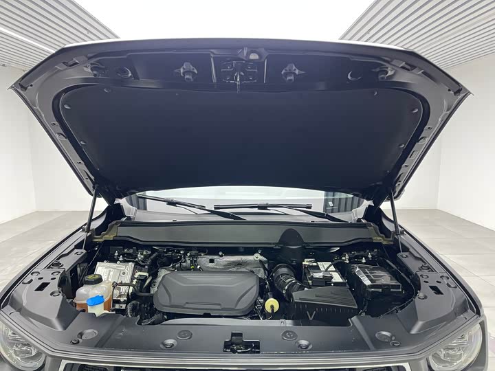 Фото 9 - Haval H-Dog