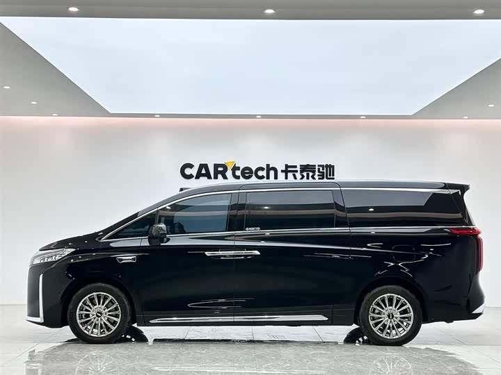 Фото 2 - Wey Gaoshan