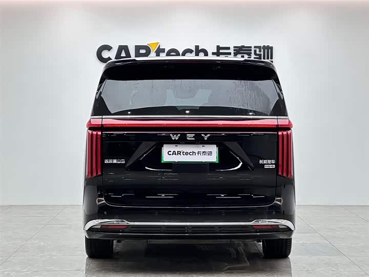 Фото 4 - Wey Gaoshan