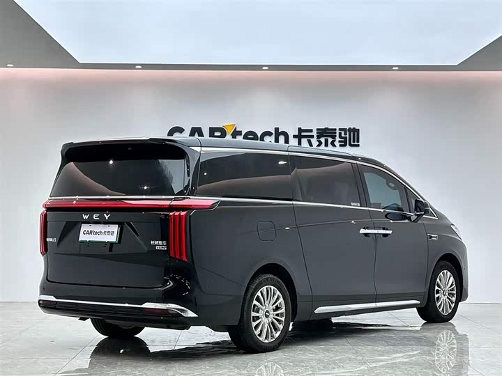 Фото 5 - Wey Gaoshan