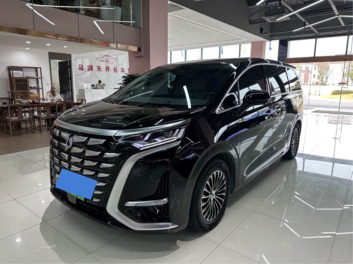 Фото 1 - Denza D9