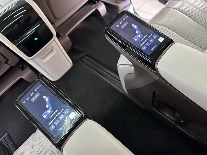 Фото 3 - Denza D9