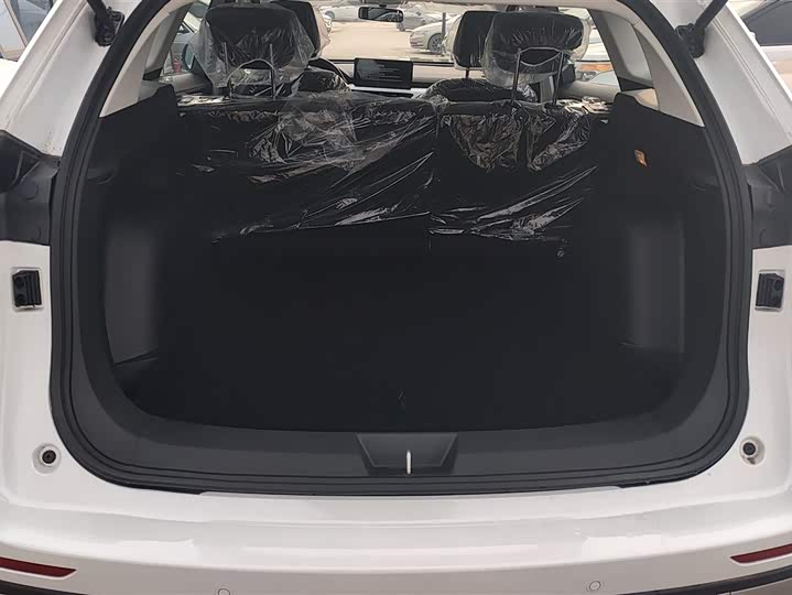 Фото 4 - Haval H6