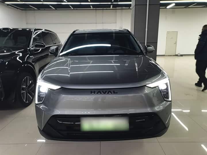 Фото 3 - Haval Ruge