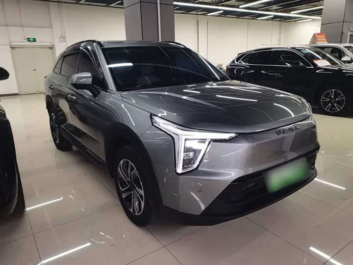 Фото 4 - Haval Ruge