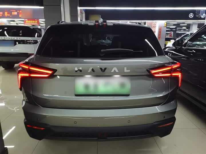 Фото 6 - Haval Ruge