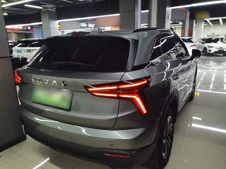 Фото 7 - Haval Ruge