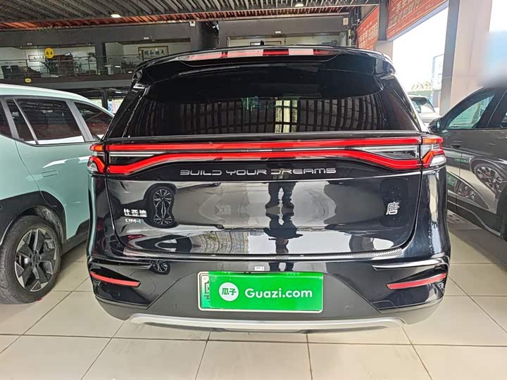 Фото 6 - BYD Tang Hybrid/EV