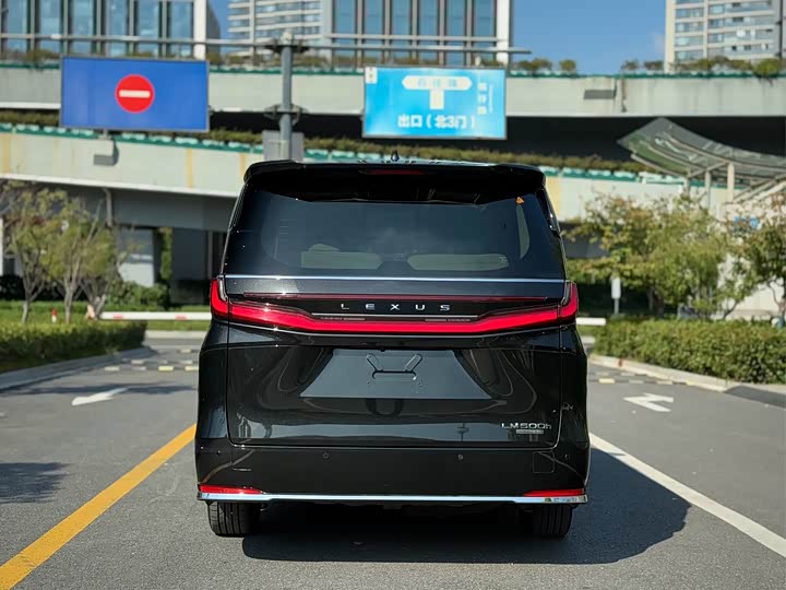 Фото 3 - Lexus LM