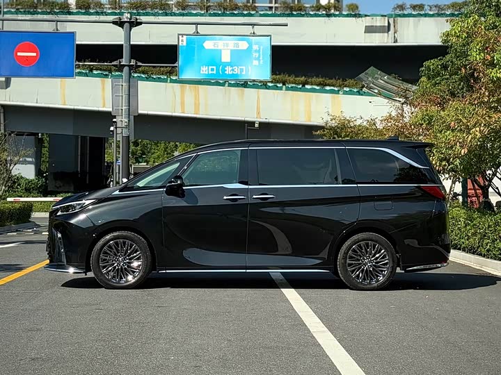 Фото 5 - Lexus LM