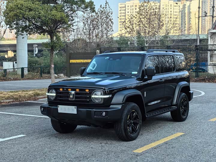 Фото 1 - Tank 300