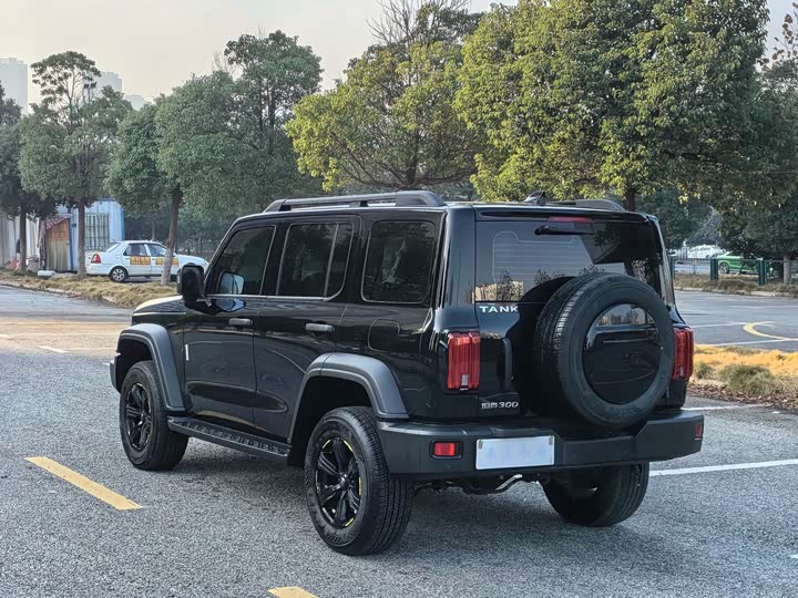 Фото 5 - Tank 300