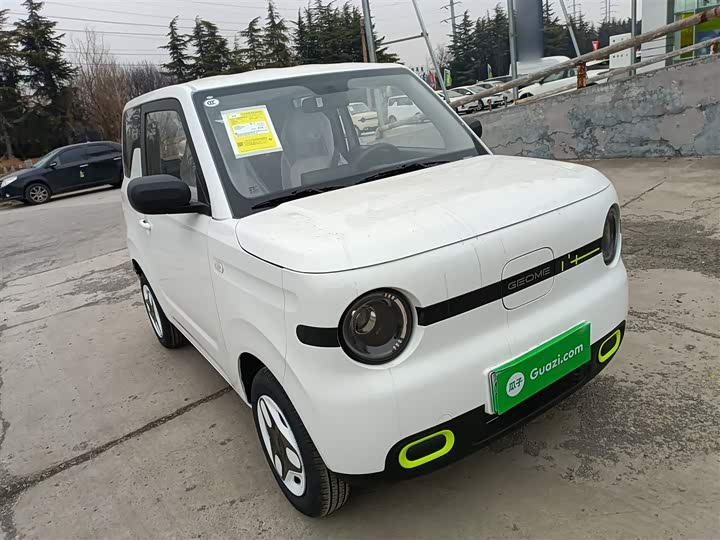 Фото 4 - Geely Galaxy Panda Mini