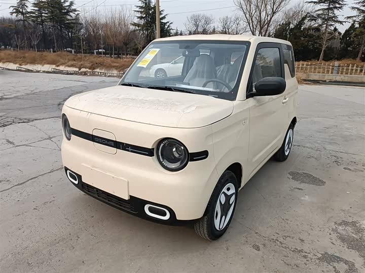 Фото 2 - Geely Galaxy Panda Mini