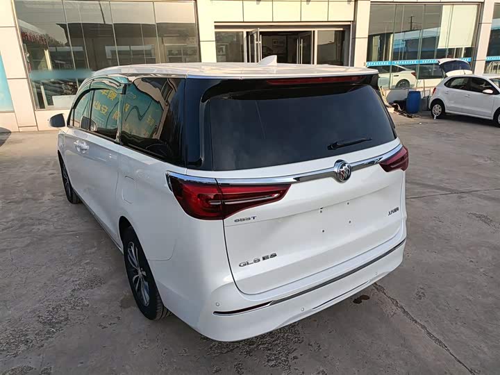 Фото 5 - Buick GL8 ES