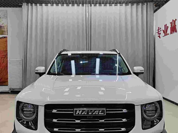 Фото 2 - Haval Dargo