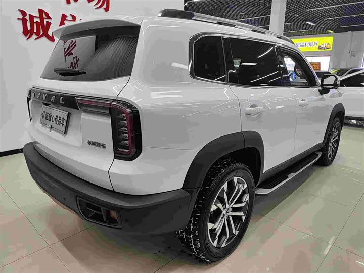 Фото 4 - Haval Dargo