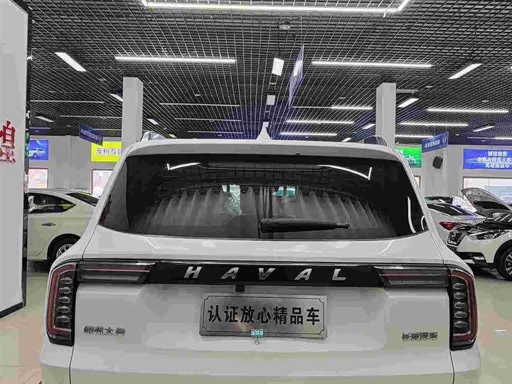 Фото 5 - Haval Dargo