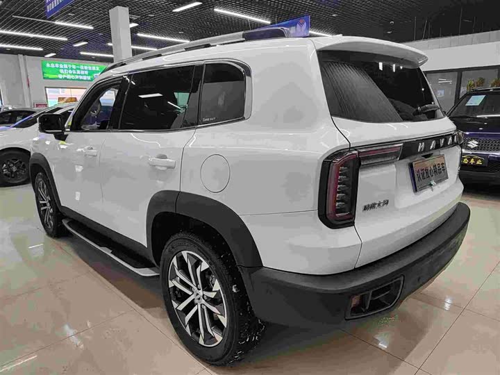 Фото 6 - Haval Dargo