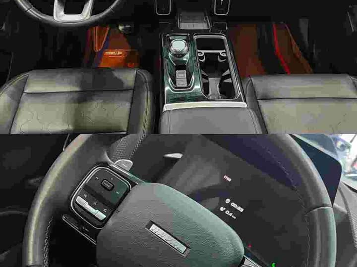 Фото 7 - Haval Dargo