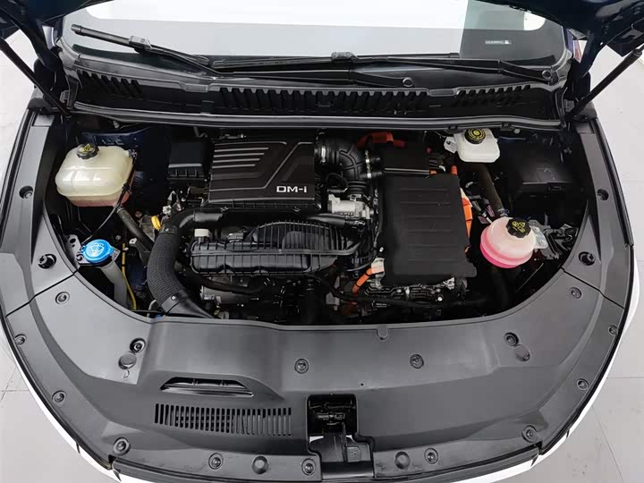 Фото 6 - BYD Song Max Hybrid