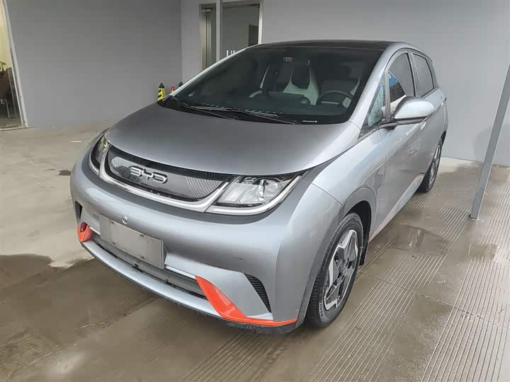 Фото 1 - BYD Dolphin